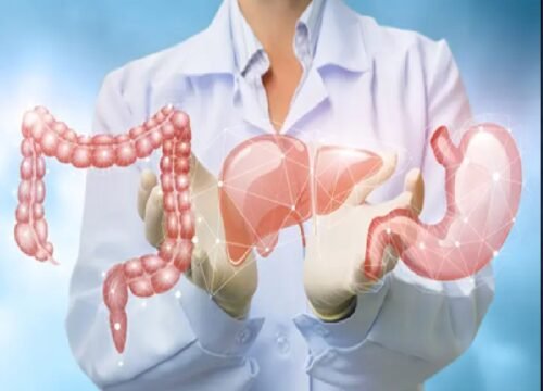 GI cancers refer to malignancies of the digestive system,