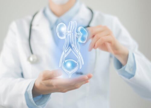 These cancers affect the urinary tract and male reproductive organs